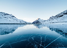 福特赛车部正式启用全新标识